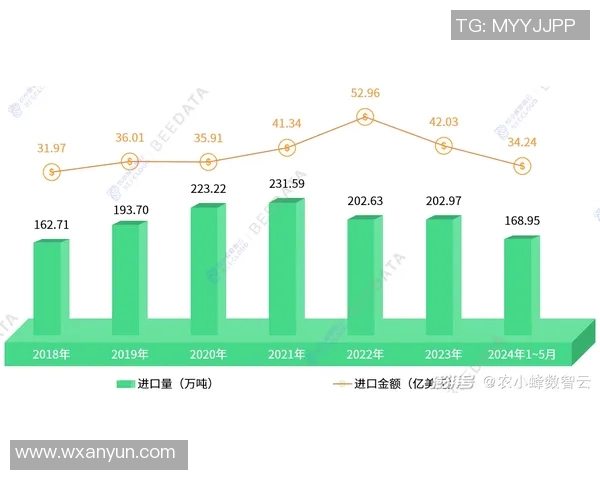 足球明星出唱片的成本与收益分析及市场反响探讨