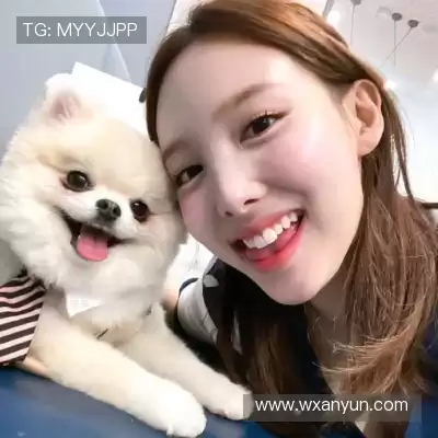 段俪剑